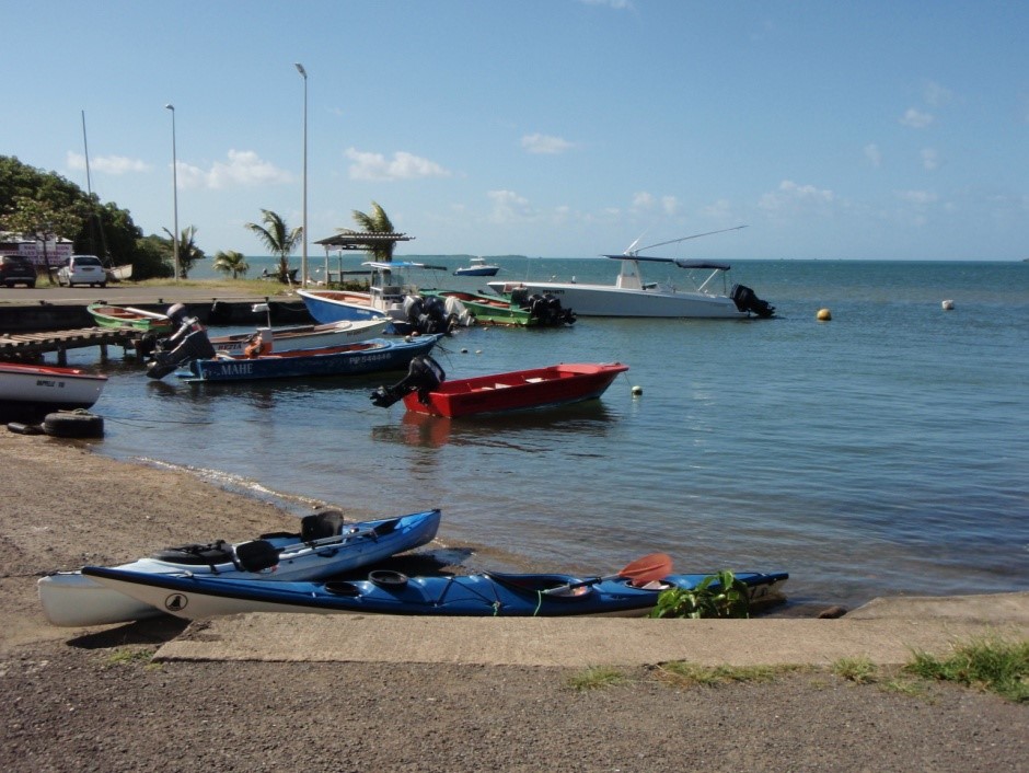 Guadeloupe Kajak, mangrove, barracuda, tarpon, snook och bonefish samt en massa vind. Hemkommen från Guadeloupe. Att jag hamnade just på den ön berodde på att jag lovat yngsta dottern en tripp till Karibien. Jag hade varit iväg med min äldsta dotter till Los Roques. Men den yngre är lika rastlös som jag och pallar inte att bara chilla på en strand. Så jag tänkte att Guadeloupe skulle kunna passa både henne och mig. Nu fick yngsta dottern jobb och kunde inte följa med – men då hade redan stenen sats i rullning och jag hade börjat sikta in mig på fisket vid norra delarna av Guadeloupe. Jag tog en charterresa till Langleys Hotell vid Fort Royal, som ligger på den nordvästra hörnan av Basse-Terre, vilken är den västra utav de två sammanhängande öar vilka utgör Guadeloupe. Nu var det en bra kuling de flesta dagarna jag var där och jag gav mer eller mindre upp morgonfiske nära hotellet. De lokala sportfiskarna fiskar uddarna med bottenmete. Såg en kille som tappade en större fisk då den antagligen drog in i någon håla så han blev tvungen att dra loss. Killen tog två minibonfish (20 cm) på sitt bottenmete. Hade det varit lugnare vind, hade jag nog lånat en av kajakerna någon dag och testat en fin strömkant och ett par grund utanför hotellet. (Jag hade t.o.m. kunnat få låna en större dragg). Jag började med att ta mig till den lilla staden Sainte-Rose på nordkusten av Basse-Terre, där jag trodde att jag skulle kunna hyra en kanot. Kanotuthyrare var det ont om. Däremot fanns ett rev precis väster om staden där en barracuda effektivt och knappt märkbart avlägsnade min fluga från tafsen. I närheten av revet mynnar en mindre flod och nära flodmynningen var vattnet ganska brunt. Säkert möjligt för både snook och tarpon även om jag inte såg något sådant just då och där. Dagen efter fick jag tag i en hyrbil och drog till Morne Rouge, en liten håla öster om Sainte-Rose, där det gick att få tag i en kajak. Uthyraren hade en kajak som är ganska bred och som funkar hyfsat bra för fiske för en person. Breda dubbelkajaker har de massor av och även smalare varianter som är mer av den klassiska varianten, men som kanske inte är så bra att fiska från. Hamnen i Morne Rogue. ”Min” kajak till vänster. Nu var jag egentligen inne på baby-tarpon och snook. Kanotuthyraren tipsade mig om lagunen som ligger mellan Sainte-Rose och Morne Rouge. Där kajkade jag omkring och slängde mina flugor mot mangrovekanterna. Jag hörde någon enstaka fisk som jagade inne bland mangroverötterna, men på det hela taget var det väldigt lugnt. Inte en enda rollande tarpon, så några mängder var det i alla fall inte lagunen när jag testade. Bättre senare på säsongen? Antagligen är det inga större mängder tarponer i just det här området. De något hetare ställena är troligen ännu närmre Sainte-Rose, där det mynnar två mindre floder eller en god bit öster om Morne Rouge där Riviere Goyaves möter havet (tips jag fick). Båda områdena testades. Vid området närmre Sainte-Rose skrämde jag en fisk på över metern. Tarpon eller barracuda? Svårt att veta. Det såg mer ut som tarpon. Vattnet var bara halvmetern djupt och mycket grått. Går det tarpon på så grunt vatten? När jag frågade några lokala som kom med sin motorbåt upp mot floden om det fanns tarpon i området svarade ”oui et barracuda” och måttade 1,80 med armarna. Den första floden, som antagligen är den bästa, missade jag då dess mynning låg gömd i mangroven. Såg en jättestingrocka och hade ett par virvlar av hyfsade fiskar efter flugan och något hyfsat hugg. Ett stim med nervösa sardiner fanns i ett strömsatt litet sund. Om jag kommer tillbaka till Guadeloupe är det här ett område som jag skulle vilja undersöka närmre. Tarponer är som de är. Ena dagen här, nästa någon annan stans. Mangrove Nu var det enormt starka vindar medan jag var där. Hotellet släppte t.ex. inte ut kajaker och segelbåtar på.g.a. vinden. En dag var det lite mindre blåsigt på morgonen och jag beslöt mig för att kämpa mig mot vinden till Riviere Goyaves (5-6 km paddeltur). En glitterfluga med ståltafs fick hänga bakom kajaken medan jag paddlade mig fram. En hel bunke små barracudor, någon mindre pargo och red snapper tog den trollade flugan. Problemet vara att innan fisken hade blivit vederbörligen avkrokad hade jag drivit en god bit tillbaka. Vinden tog i mer och mer och trollingen fick avslutas. När jag drog in i Riviere Goyaves mynning hoppade en leopardrocka två gånger bara någon meter från kajaken. Häftigt. Inget man glömmer. Floden var flera meter djup och hade ett hyfsat siktdjup. Miljön med den breda floden med mangrovekanter och den totala ensamheten fick mig nästan att glömma fisket. Fast inte helt. Jag bytte till en sjunklina och började trolla mig upp för floden – hela tiden spanande efter en rullande tarpon. 1 km upp i floden började det fräsa i rullen. En stark och tung fisk som inte hoppade utan gjorde smårusninger och var allmänt tung. Det låter nästan som Jack Crevalle. Och det var det också. En hyfsad fisk på mellan 2 och 3 kilo. Lite märkligt att den var så långt upp i floden tycker jag. Jag fortsatte uppåt en bra bit till. Inte ett spår av någon rullande tarpon. Någon sköldpadda kravlade sig ner i vattnet när jag kom, annars var det lugnt. Vid mynningen hade det synts lite småfisk på 15 – 20 cm längd, så jag beslöt mig för att ta mig tillbaka dit. Det var nog där jag egentligen skulle ha stannat. Direkt jag kom till området såg jag något dra en attack rakt in i stimmet med småfisk och en stund senare var det något större som jagade fisk kring mangroverötterna. Tyvärr dog vinden nästan totalt och miljoner, eller fler, knott flög ut från mangroven och tyckte att jag var det smaskigaste de sett på länge. Det var bara att dra. Klockan hade också gått och det började bli tid att lämna tillbaka kajaken. Dessutom hade jag en liten djupränna som jag ville undersöka. Att ta sig hem i en vind som hade dragit igång igen, var hur enkelt som helst. Det blev segling, med ett litet paddeltag då och då för att korrigera kursen. Största barracudaflugan fick släpa med. Den fångade enbart turtle-grass. Efter någon dag i kajak med halv storm, eller i alla fall kuling, var jag slut i armarna och tog en paus från fisket. Chefen på hotellet heter Hans. Någon tyckte att jag borde snacka med honom, eftersom han var sportfiskare. Nu verkade det mer som att djuphavsfiske än grundvattensfiske är hans/Hans grej. Men fiskare är fiskare. Han var villig att hjälpa mig. Jag berättade för Hans att jag nog helst var ute efter tarpon och snook. Hans ringde en kajakuthyrare i Vieux Bourg på den norra sidan av andra öhalvan, Grand Terre. Jag drog till avtalad plats men ingen dök upp. Där stod jag med lång näsa. Tog bilen till hamnen där två yngre lokala förmågor stod och bottenmetade efter allt de kunde få att nappa. Den ene kunde lite engelska och det gick att få ur honom att i mynningen av den lilla floden och en bit upp i den, kunde man få både snook ock tarpon. Jag hittade en liten glipa mellan telefonstolpar, bananplantor, hus och båtar där jag kunde dänga flugan mot grenarna på motsatta sidan av åmynningen. En tarpon i storlek av jättesill, klapp flugan och studsade sen omkring som en galning. I närheten av åmynningen höll några killar på att laga sina uthyrningstrampebåtar. När jag berättade storyn om den missade kajaken, visade de mig var kajakuthyraren höll hus. Han borde nog snart vara tillbaka med ett gäng kanotister, menade de. Minitarpon Kajakuthyrarna hade breda kajaker som gjorda för att fiska ifrån (man kan stå upp i dem). Jag hyrde en för 35 euro för resten av dagen. I närheten där jag tog minitarponen såg jag hyfsad snook på ngt. kilo. Ingen var dock intresserad av mina flugor och efter ett par kast blev de antagligen skrämda. Jag paddlade vidare och försökte leta efter vatten med djup som samtidigt var skitigt och fanns nära mangrove. Ett par intressanta områden fanns – tyckte jag – men inte fisken. När det började bli en aning till skymning drog jag mot kajakcentrat. Fiskekajaker. Det fanns en liten udde där det synts något bättre plask under tiden jag stod och fiskade från land. 20 cm från en mangroverot drog det till och en liten snook började skutta omkring. Kul. Avkrokning. Nytt kast på samma ställe. En tarpon klapp flugan direkt den landade. Ingen stor fisk 1-2 kilo. Men den lyckades göra mig dyngsur innan den kunde krokas loss. Nytt kast och en tarpon av samma storlek välvde sig över flugan, drog till och lossade. Antagligen den tarpon som under en kort stund simmade bredvid den tarpon jag drillade tidigare. Var det snookens pladdrande i ytan som lockat till sig tarponerna? 3 kast. 2 fiskar och ett hugg. Liten snook Mindre tarpon. Ja, det är en knut på tafsen. Intressant vik i mangroven. Nästa dag tog bilen till Vieux Bourg igen och fick en heldag med kajak för 45 euro. Kajakuthyraren fiskade själv och menade att det bästa var nog om jag drog mot vinden till en flod lite längre norr ut. På väg dit såg jag några 1-2 kilos tarponer 1-2 kilos som inte var intresserade av min fluga. Som vanligt släpades en fluga på ståltafs efter kajaken. Det blev några mindre red snappers och pargo här också, men inga barracudor. Utanför åmynningen är en stor och grund vik som skall hålla stor pargo enl. kajakuthyraren. Kajaken skrämde några hyfsade fiskar som lämnade stora virvlar efter sig. Det kan ha varit vad tusan som helst. Minipargo Floden, som heter Canal des Rotours, är betydligt mindre än Riviere Goyaves. När jag närmade mig mynningen stannade en båt till och föraren undrade hur det gick. Föraren sa sig vara fiskeguide, men var ute med en kompis idag. Han berättade att han hade en kompis som också var guide och som var ute med en kund en bit upp i floden. Lugnt och stilla paddlade jag mig uppströms. Efter ett par hundra meter syntes den första tarponen rulla. Samtidigt kom en av båtarna drivande. En av killarna var en jäkel på att med ett underhandskast få jiggen att studsa som ”macka-sten” på ytan och på så sätt få in jiggen under mangrovegrenarna. Canal des Rotours Jag blev lite störd av jiggar som plaskade ner i närheten av mig och fortsatte uppåt ett hundratal meter. Det fanns tarponer i floden. Då och då kom någon av dem upp till utan (såg också en under kajaken). Läckert att ligga och driva långsamt med floden och kasta hit och dit. Alla konstiga varianter av kast var man tvungen att utföra. Det blev en hel del flugor i mangroveträden. Tarponerna såg ut att ligga i 5-kilosklassen. Jag hade ett rejält hugg. Tyvärr hade jag då gjort ett kast rakt bakåt. Att göra ett tarponmothugg fixade jag inte. Jag gled längre ned till de två båtarna som parkerat sig under ett träd. Vi snackade lite. De hade inte fått eller känt något. En av killarna kastade en jigg medan vi pratade. Han fick en stor pargo på omkring 3 kilo. Båtarna drog sedan ut ur floden. Det verkade som att tarponerna också hade lämnat. Jag paddlade upp och ned i floden och letade, men det var i stort sett tomt. Inte heller i viken utanför floden såg jag någon större aktivitet förutom multar som det finns gott om i området. Multarna lurade mig många gånger att lägga några kast. Drog tillbaka där jag sett småtarponerna på utvägen, men där hade vattnet blivit klart och det var tomt. Bestämde mig för att testa platsen där jag fick tarpon och snook under gårdagen. Ca: 4 meter ifrån där det högg dagen innan hade jag på en hyfsad tarpon (?). I ett hål i mangroven drog en fisk till i ytan. Jag var lite orolig att det var jag som skrämt iväg fisken. Paddlade ut en lagom bit och lyckades få in flugan i hålet och inte i träden. Smack. En tarpon i 5-kilos klassen började fara omkring i alla tre dimensionerna. Tack och lov drog den inte in i rötterna. Efter en halv minut och ett antal skutt lämnade den mig med ett hopp. Bilden sitter kvar. Skakande fisk rakt upp i luften. Gällocken utspärrade och lysande röda gälar. Slängde in flugan i hålet igen. Stack en fisk. Nytt kast. Liten snook som blev avkrokad. Nytt kast. Virvel. Nytt kast. Mikroskopisk snook avkrokad. Därefter tomt. På en yta av kanske 5 x 3 meter hade jag under två dagar varit i kontakt med en bunke tarponer och snook. Snacka om het plats – i alla fall i skymningen. Området kring Vieux Bourg har tarpon, snook, pargo, reed snapper jack crevalle och säkert massa annat. Hade jag paddlat åt motsatt håll hade jag kommit till några rev som skulle hålla bonefish. Uthyrarna av kajaker pratar engelska, men inte särskilt bra. Det var ändå inga problem att kommunicera. Kanoterna var som sagt mycket breda och stabila med bra lagringsutrymmen för utrustning och fisk. Förvånansvärt lite vindkänsliga, vilket nog berodde på att de var så låga. De hade så klart inte samma glid som en mer vanlig kajak. Det här är ett område som jag kan tänka mig att komma tillbaka till. Att uthyrarna har fiskekajaker och att det finns guider/seriösa sportfiskare säger en del. Utanför Morne Rouge och Sainte-Rose ligger ett gigantiskt område som består av mangroveöar, halvdjupt vatten, några djupområden och pancake flats. Sista två dagarna beslöt jag mig för att trotsa vindarna och ge mig ut mot flatsen. Så här i efterhand kan jag inse att det hade varit smartare att satsa på bonefish i stället för tarpon i just det här området. Nu är min erfarenhet av fiske efter bonefish inte speciellt stor - har varit några gånger på Los Roques. Inte heller är jag speciellt duktig på att se fisk eller placera flugorna rätt. Ändå hade jag ett fantastiskt roligt fiske på flatsen. Kanske det roligaste fiske efter bonefish jag haft. Det var bara att välja en pancake, ankra kanoten och kliva ur. På en och halv dag krokade jag av 4 stora benfiskar på 2-3 kg. Såg och kastade på en hel del tailande fisk och hade efterföljare och hugg. Hade det inte blåst så förbannat, hade det säkert också gått bättre att se fisk som cruisade omkring och därmed fått fler möjligheter till hugg. Fisken var förvånansvärt oskygg. Jag skrämde en riktigt stor krabat som långsamt simmade från mig. Jag fick den att vända och följa min fluga tills den kom för nära mig och vände. I området finns riktigt stor bonefish. Jag såg flera fiskar som vägde omkring 4-5 kilo och en stjärtfena i luften som inte gick av för hackor. 2 av fiskarna jag tog, följde snällt med ända tills de fick syn på mig. En gången hade fisken en kompis som flankerade. Bonefish. Bonefish Sista fisken jag tog var den roligaste. Jag var på hemväg och paddlade längs ett rev för att slippa vågorna. I slutet av revet såg jag plötsligt flera stjärtfenor stå och vicka i luften 8-10 meter framför kajaken. Det blev till att försiktigt slå back i maskin och smyga i ankaret. Barracudaflugan åkte av och den beige räkan knöts på igen. Otroligt nog fanns fiskarna kvar och hade t.o.m närmat sig kajaken. Stående på knä bakom kajaken la jag ett kort kast mot stjärtarna. Eller rättare sagt: ett kast på lovartsidan så att vinden drog ned flugan till fiskarna. Inget hugg. Nytt kast, inget hugg. Skulle jag byta till en krabba? Nej, det fick bli räkan. Nytt kast. Nytt kast. Pang. I mothugget drog fisken i väg mot djupet och kompisarna for åt alla håll. I kanten av revet fanns både en boj och en prick. Fisken drog nära bojen men vände sen åt rätt håll. Ibland har man tur. Någon gång till var den lite väl nära bojen men det hela gick väl. På återvägen ”hem” kom en riktig regnstorm över mig. Det finns två möjligheter i det läget. Antingen gå mot vinden eller att gå med den. Jag valde att gå med vinden av säkerhetsskäl, även om det kostade mig hårt arbete senare att ta mig tillbaka till hemmahamn. Området utanför Morne Rouge verkar ha fantastisk potential för fiske efter bonefish. Vissa delar är reservat. En av killarna som hyrde ut kajak sa att jag inte fick fiska där. Men när jag sa att jag inte döda fisken menade han att då är det OK. Det här bör nog kollas. Vad gäller? Uppe på flatsen är inte de stora vågorna besvärande. På vindsidan av en flat finns oftast ett korallrev som bryter vågorna. Men är vinden för stark blir det minivågor på småvågorna och då är det ruskigt svårt att se fisk. En ”ö” utanför Morne Rouge dit det går en del båtar med turister från Sainte-Rose. (Också bra för bonefish) Är bara vädret lugnt finns det gott om platser utanför reservaten att fiska på, om det nu är totalt fiskeförbud som gäller i dem. P.g.a. vinden blev det inte mycket fiske i de djupare partierna av området. Det hade varit intressant att leta jagande fisk i dem (jacks och kanske annat). Som sagt fisket efter tarpon är inte det bästa. Flodmynningar och skitigt vatten är det som gäller om det är silverkungar man är ute efter. Kanotuthyrningen i Morne Rouge har endast en enda kajak som är lämplig för enmansfiske. Det är klart, är vinden svag kan man säkert fiska helt OK från en dubbelkajak. Är man helt inne på att paddla och sedan hoppa av sin kajak kan man så klart ta en mer klassisk kajak. Jag hade med mig tunna starka snören som jag satte fast mitt spö med under paddlingen och ett snöre som jag fäste paddeln med. Ett ankare var toppen att ha med. Jag hade en tanke att ta med mig två spön ut, men skippade det. I de mer uttalade fiskekajakerna i Vieux Bourg hade det gått att ha ett isärtaget, riggat spö undanstuvat i ett av förvaringsutrymmena. Utanför Morne Rouge är det gott om småbarracuda nära land. Utan ståltafs tar det en sekund innan tafsen är avbiten. Jag var lite besviken att det inte blev någon lite större barracuda. Kanske inte det smartaste att dra iväg ensam med en kajak – även om den jag hade var en bred och stabil variant med dubbelskrov och dräneringshål. Jag tog en charterresa till charterresa Fort Royal. Hotellet har möjligheter att låna kajaker och katamaraner. Det är helt OK att fiske från vilket flytetyg man vill. Jag hörde om folk som trollat efter katamaranerna och tagit fisk från kajakerna. Dock inte flugfiskare. Men det borde bara vara att dra på en sjunklina om man vill ligga och harva i strömkanten. Bra mat. Frukost och middagsbuffe ingick. Så det var lite som på Los Roques. Käka en rejäl frukost kl. 7 och sedan dra iväg med några Coca-Cola och vatten som färdkost och fylla upp kolhydratlagren på kvällen med en rejäl middag. Att ön är fransk medförde att det alltid fanns ostar på kvällen och croissanter på morgonen. Lunchdags Bil är nödvändigt att ha. Franska är ett klart plus att kunna. Lokalt pratar man creol, men alla kan franska. Nu brukar det gå bra ändå. Killen som oftast hade hand om kajakerna i Morne Rouge hette Max och kunde ett ord engelska (”tomorrow” lät det nästan som). Det gick ändå hyfsat att kommunicera trots att min franska är i det närmaste helt obefintlig. Max frågade något på franska. Han undrade nog hur det hade gått, tänkte jag, och svarade ”barracuda, barracuda, barracuda”. Max garvade och satte tummen upp. Så där gick det till. Lite gester och gissningar. Det funkade. Den lokala vita rommen är både bra(har karaktär) och billig. Tyvärr blev det lite få bilder tagna och en hel del som togs vara av usel kvalité. Jag får skylla på att ibland var kameran nedpackad och att jag hade glasögon med skärpa på långt håll på näsan. Så när jag skulle plåta, typ siktade jag och tryckte och kunde inte se hur bilderna blev. Då och då kommer blåsiga dagar. Att det som i år hade varit 3 veckor med hård vind i ett streck tillhör ovanligheten. Jag såg väderprognosen för veckan efter jag skulle åka hem. 3-5 m/s var förutsägelsen. Fast å andra sidan. Utan den här vinden som jag drabbades av, hade jag inte fått så mycket armträning. Satellitbild med bättre upplösning än Google Earth, i alla fall över franskt territorium. http://www.geoportail.gouv.fr/accueil Blir kul att höra hur det gick för gänget som åkte till Los Roques och som jag mötte på Kastrup.
